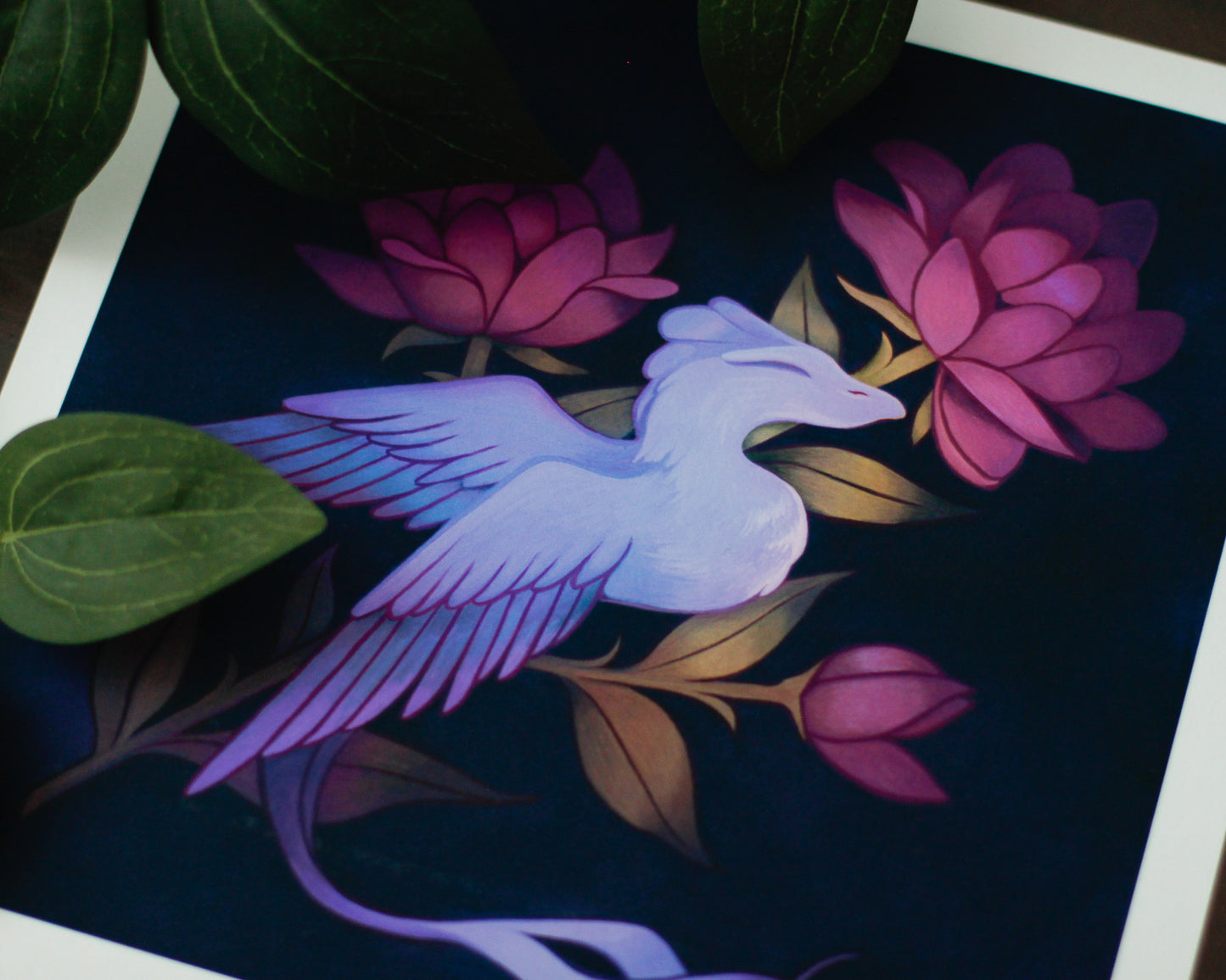 Floral Dragon Fine Art Print | 8.5x8.5
