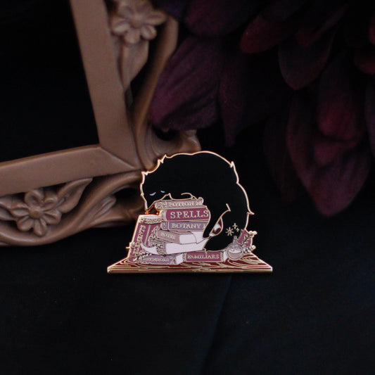 Sleepy Cat Familiar Books Gold Hard Enamel Pin
