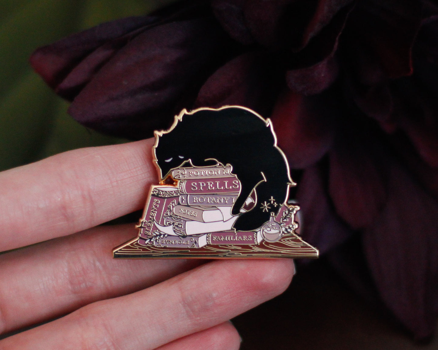 Sleepy Cat Familiar Books Gold Hard Enamel Pin