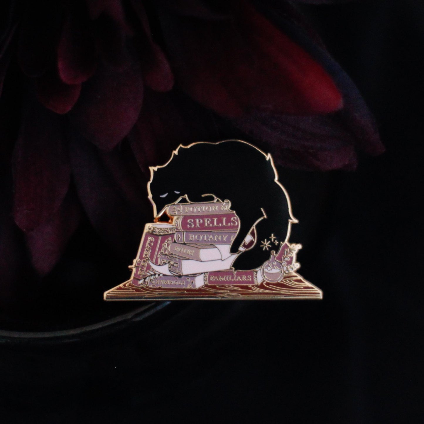 Sleepy Cat Familiar Books Gold Hard Enamel Pin
